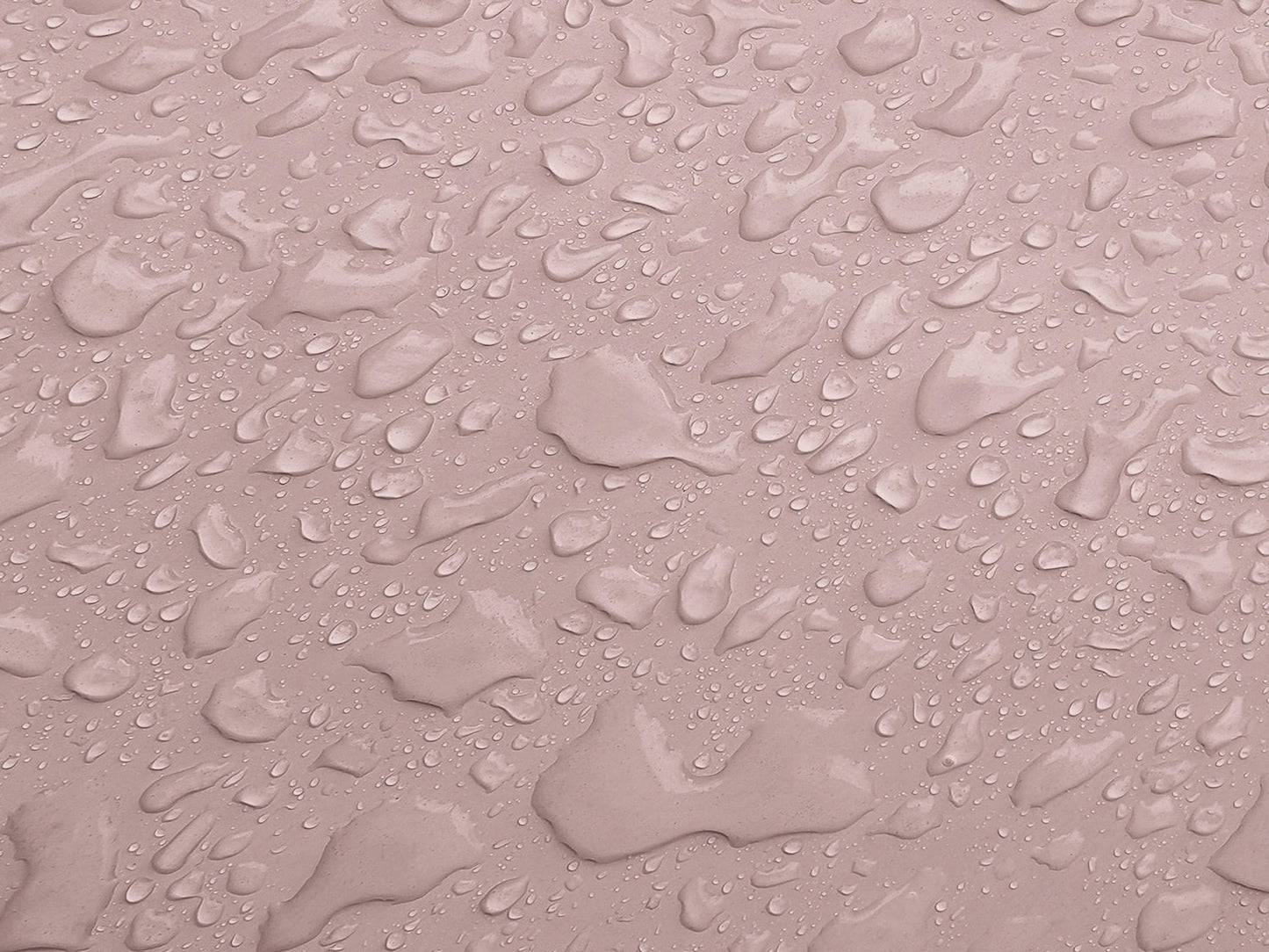 Balm Rosé